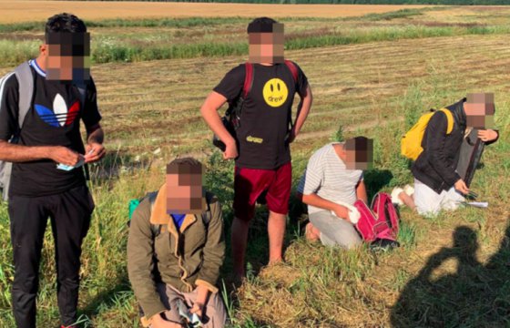 За сутки в Литву не пустили 56 мигрантов