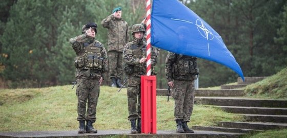 Олякас: размещение до 8 тысяч представителей сил быстрого реагирования НАТО – пока предел для Литвы