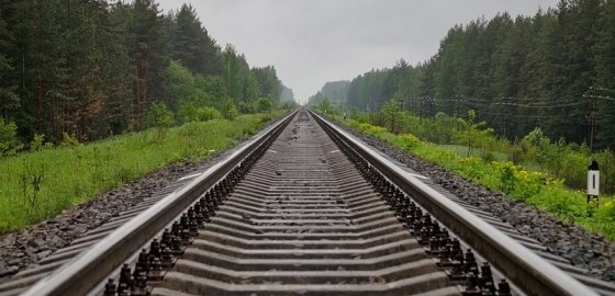 Восстановление железной дороги до Хаапсалу поддерживают 52 эстонских депутата