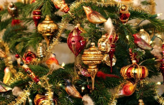 В государственных лесах Эстонии можно срубить рождественскую ель