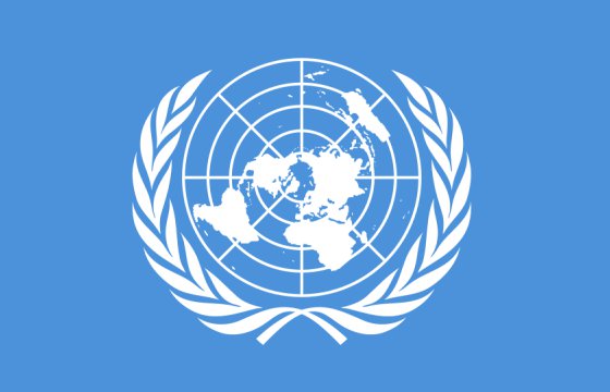 ООН назвала главный источник доходов «Исламского государства»