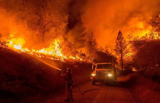 Жертвами лесных пожаров в Португалии стали почти 60 человек