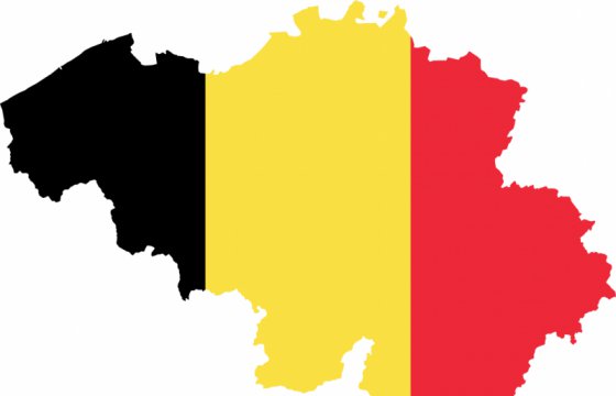 Спецслужбы Бельгии внесли в список потенциальных террористов 29 россиян