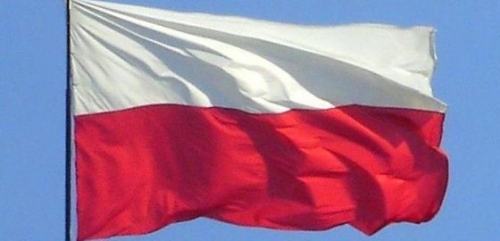 МИД России выразил протест Польше из-за сноса памятника советским воинам