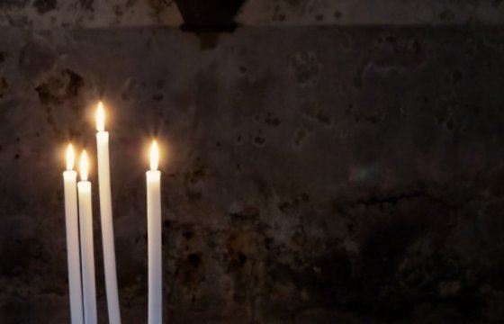 В Литве от ковида умер годовалый ребенок