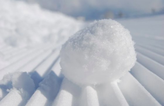 На рижском центральном рынке начали торговать снежками