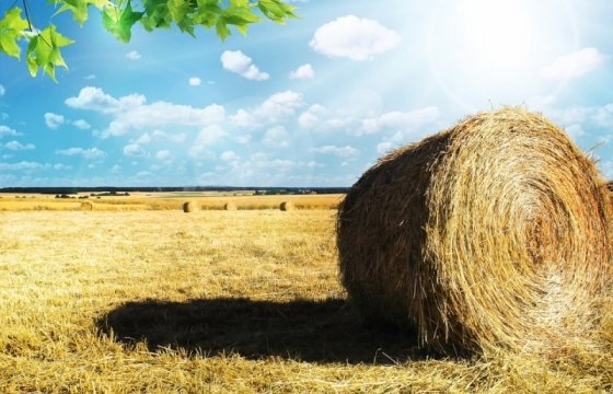 За год закупочные цены на литовскую сельхозпродукцию упали на 8%