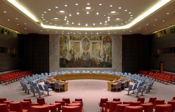 Эстонию впервые выбрали в Совет Безопасности ООН