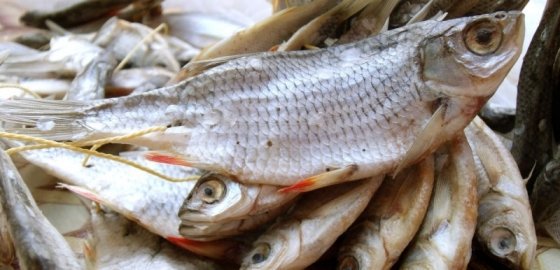 Профсоюз эстонского крупного производителя рыбы проведет забастовку
