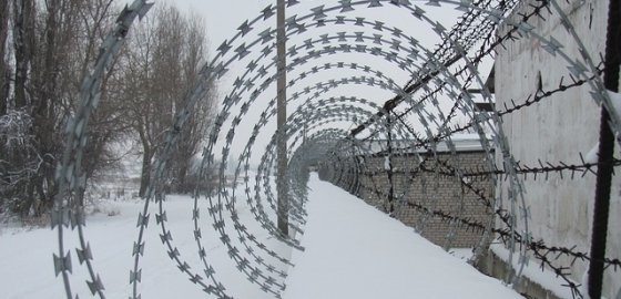 Забор может появиться и на латвийско-белорусской границе
