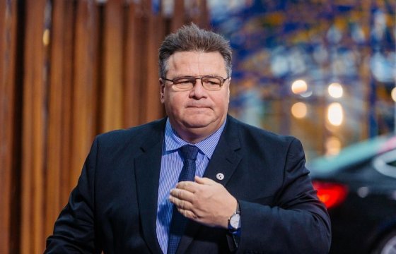 Глава МИД Литвы: Видео с Тихановской было снято под давлением