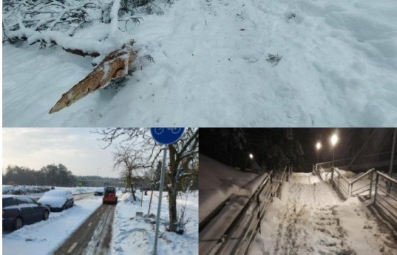Снегопад в Литве: дороги труднодоступны