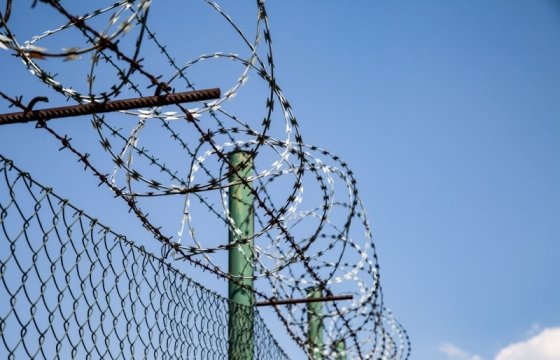 На границе с Белоруссией Латвия выстроит забор от нелегалов