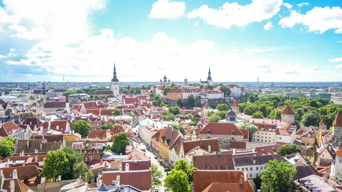Дни Старого города в Таллинне: более 300 мероприятий, экологичная среда, летний кинотеатр и шествие домашних питомцев