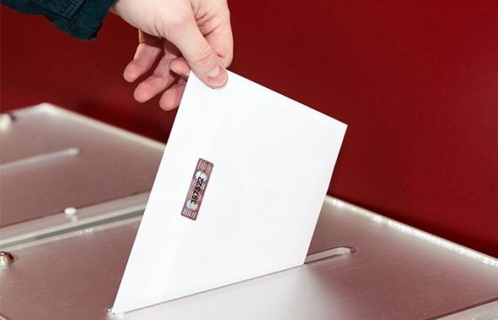 В Литве началось досрочное голосование на втором туре выборов