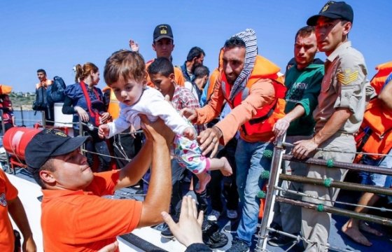 МИД Литвы направил 20 000 евро на гуманитарную помощь Турции