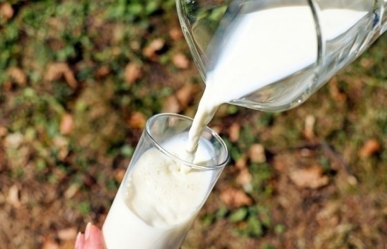 Правительство Латвии выделило 7 млн евро на поддержку производителей молока