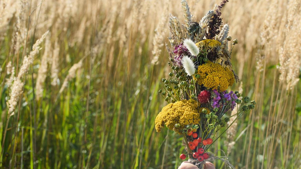 В Литве отмечают Жолинес. Ботанический сад в Кайренай организует мероприятия практически на весь день