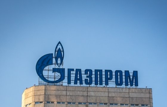 Экс-министр энергетики Литвы: Газпром теряет литовский рынок