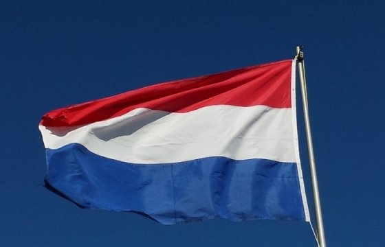 Эксперты: Выборы в Голландии показывают, что Европа противостоит радикалам