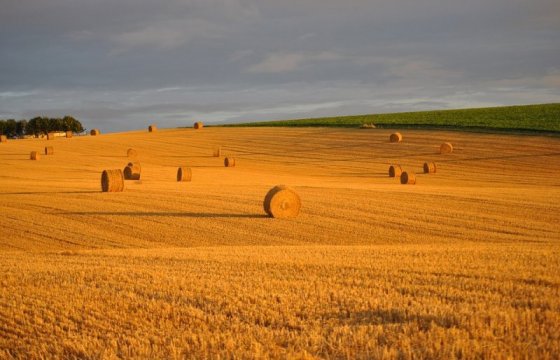 В странах Балтии выросли объемы сельхозпродукции