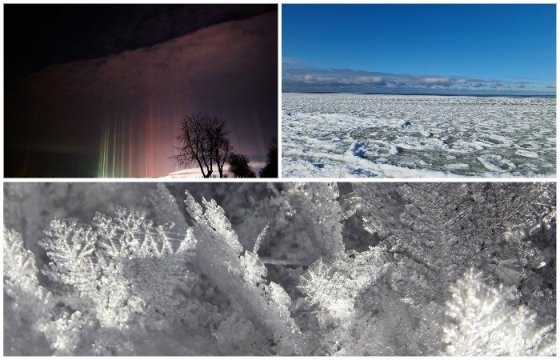 Топ-5 редких природных явлений, замеченных в Литве из-за холодов