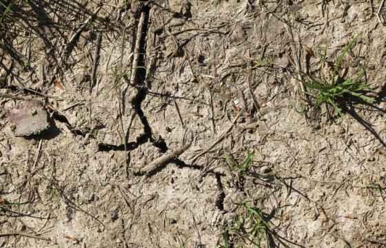 В Польше пройдут консультации по вопросам засухи