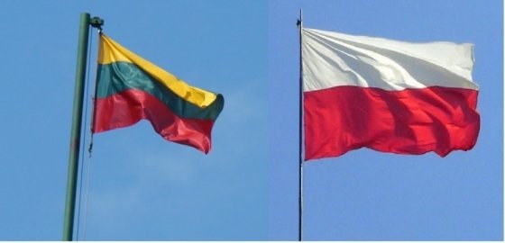 Глава МИД Литвы видит предпосылки для улучшения отношений с Польшей