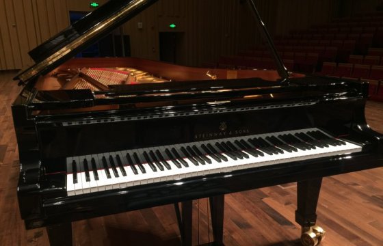 Нарва хочет купить рояль за 125 тыс. евро