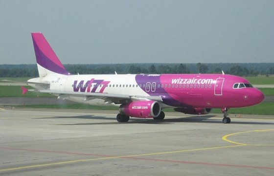 Вылет самолета из аэропорта Вильнюса отменили из-за птицы в двигателе