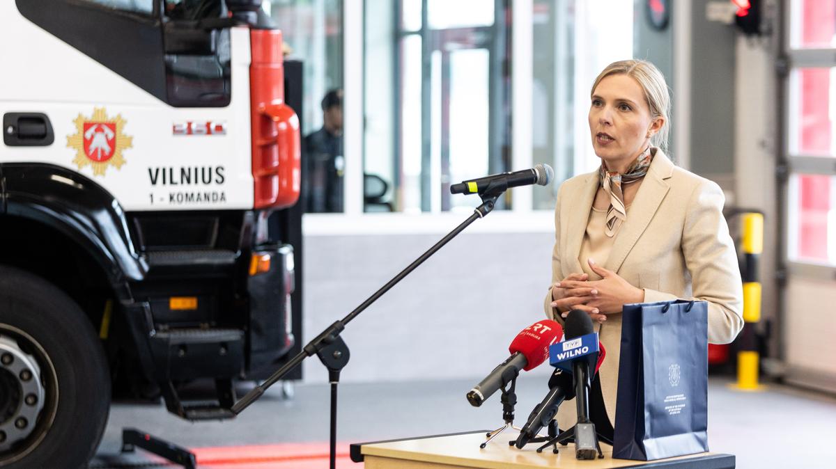 Литва направит в Турцию группу спасателей и выделит материальную помощь на оборудование и лекарства