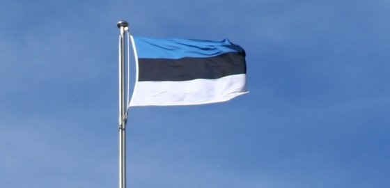 Среди получивших убежище в Эстонии лидируют украинцы