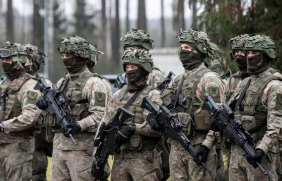 В Литве предложили продлить военное патрулирование границы на три месяца