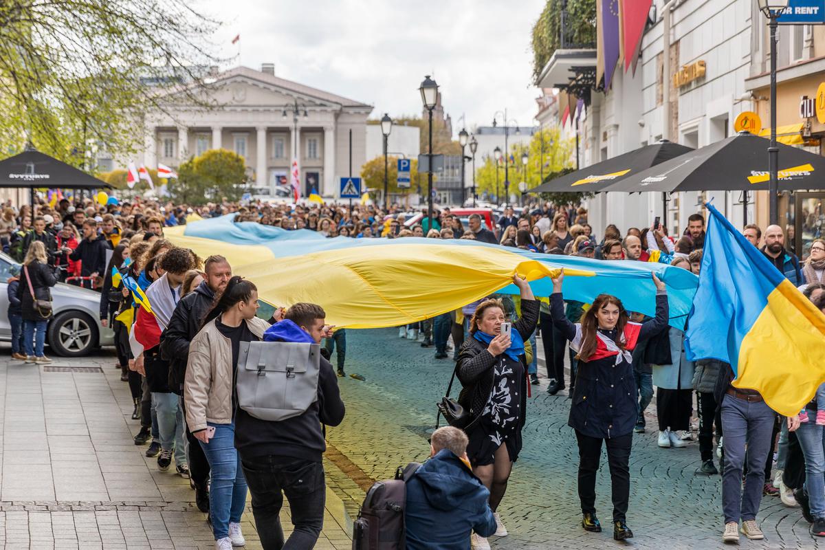 Митинг в поддержку Украины в Вильнюсе. Фото: BNS
