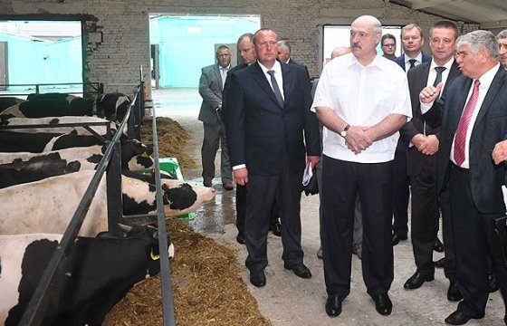 Лукашенко распорядился бесплатно отправить в Венесуэлу 500 тонн сухого молока
