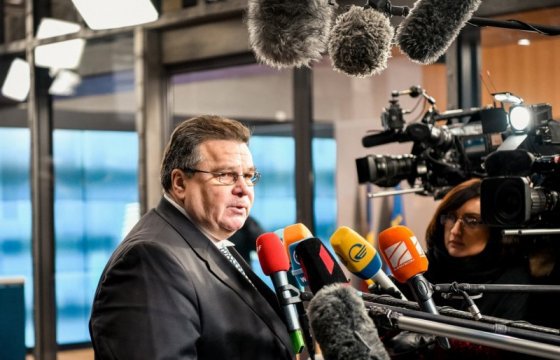 Глава МИД Литвы призвал Совет Европы соблюдать принципиальную позицию по России