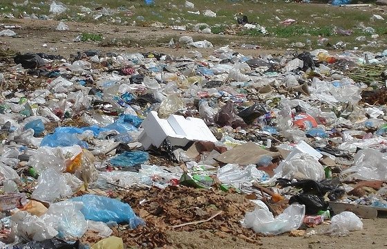 Латвийский парламент одобрил повышение налога на пластиковые пакеты
