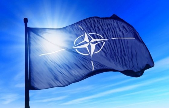 Член эстонского парламента раскритиковал позицию главы МИД Германии по учениям НАТО в Польше