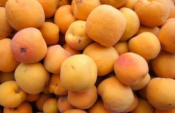 Белорусские таможенники задержали 20 тонн фруктов из Литвы