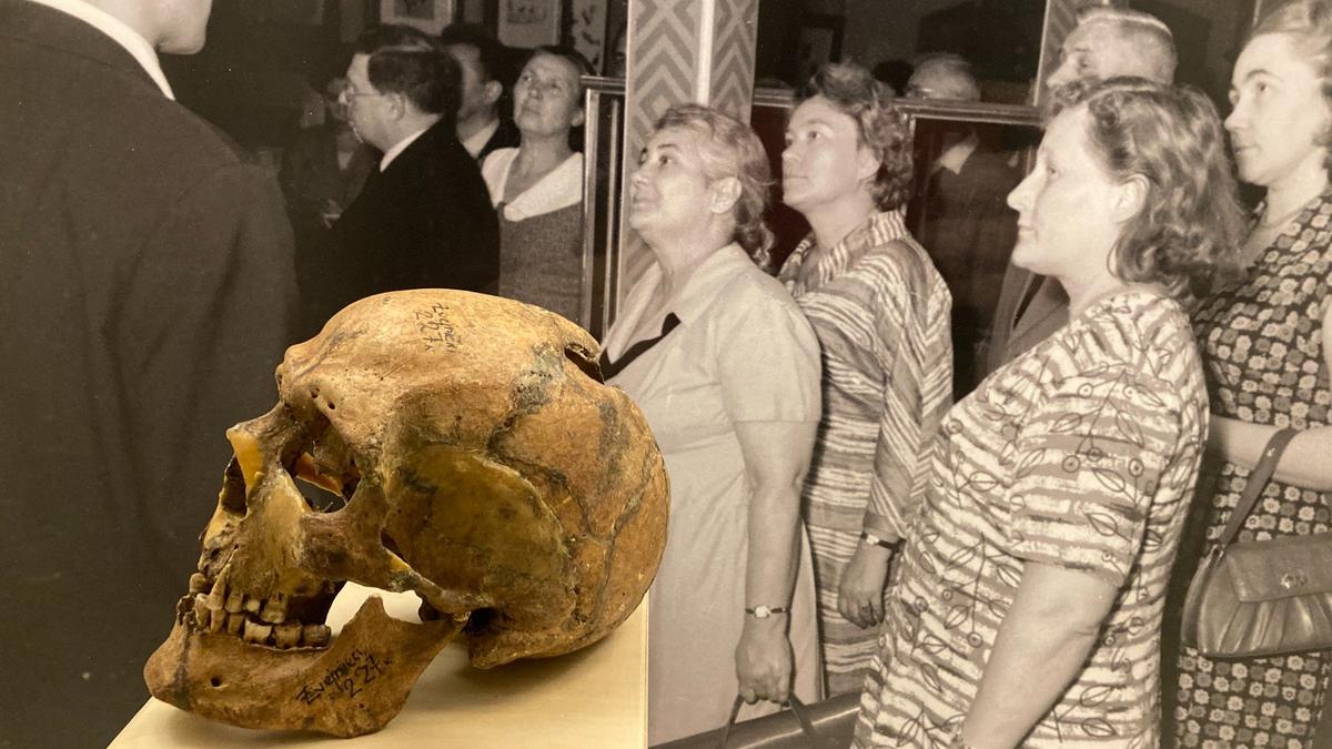 Память как орудие идеологии. В рижском Музее истории медицины открылась выставка «Загробная жизнь и поминальные практики»