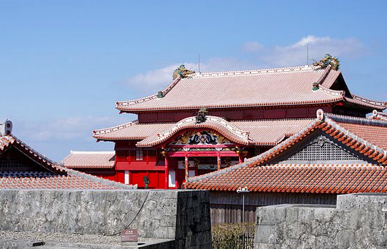 В Японии сгорел замок из списка всемирного наследия ЮНЕСКО