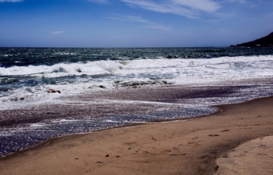 В Эстонии на одном из пляжей нашли кишечную палочку