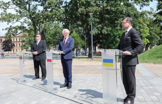 Польша, Литва и Украина создают «Люблинский треугольник»