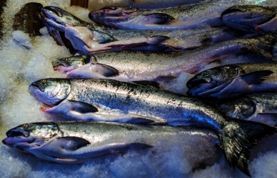 Лиепайский рыбзавод остановит работу до сентября