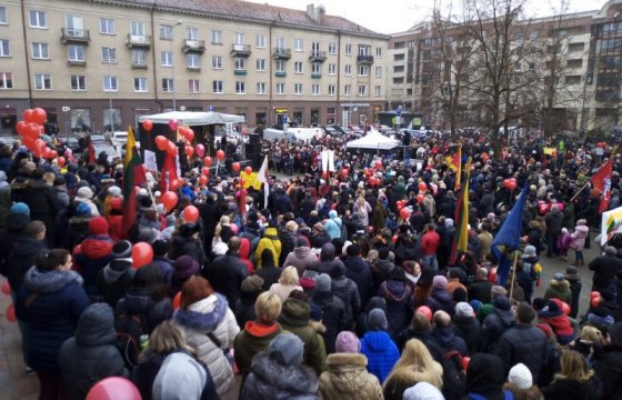 В Вильнюсе прошел митинг против системы изъятия детей из семей (ФОТО)