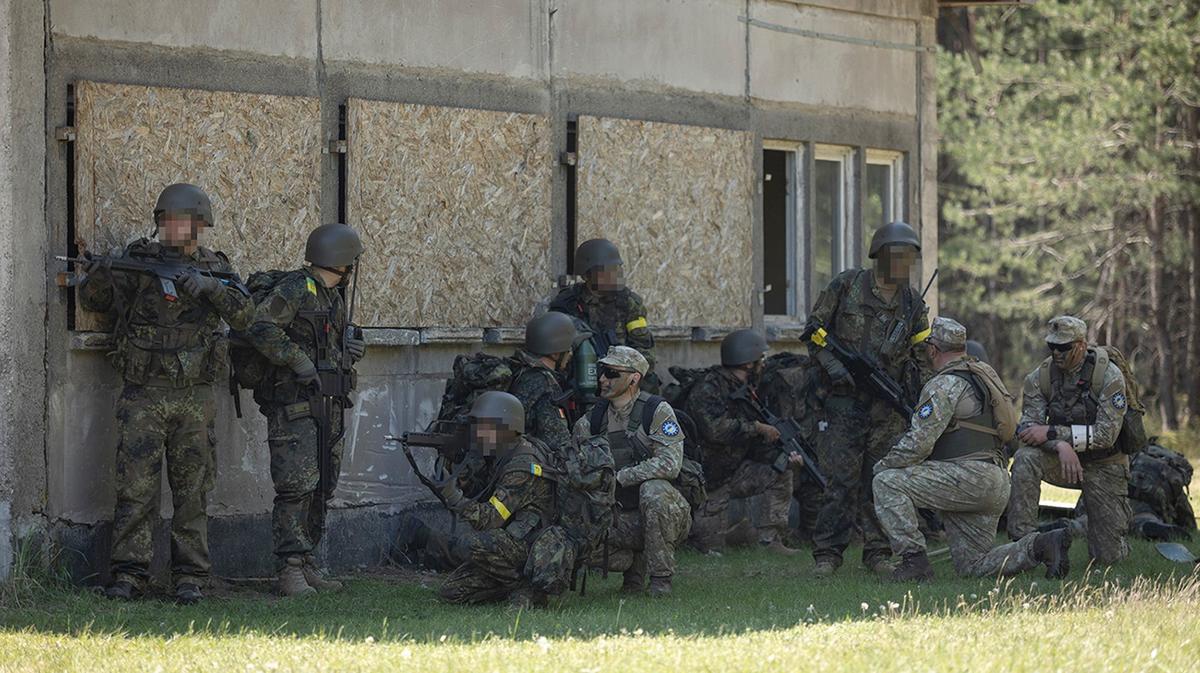 Литва рассматривает возможности увеличить число инструкторов, обучающих украинских военных