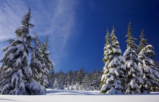 В Латвии прогнозируют самое снежное Рождество за последние 6 лет