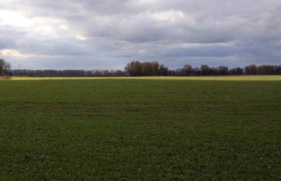 В Латвии собрали подписи за запрет продавать землю иностранцам