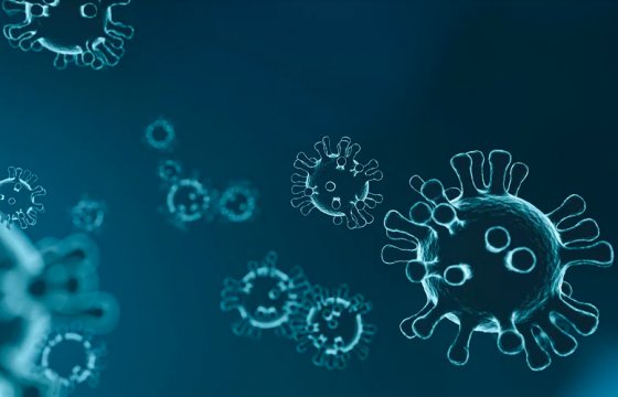 В Литве выявили 5 новых случаев коронавируса