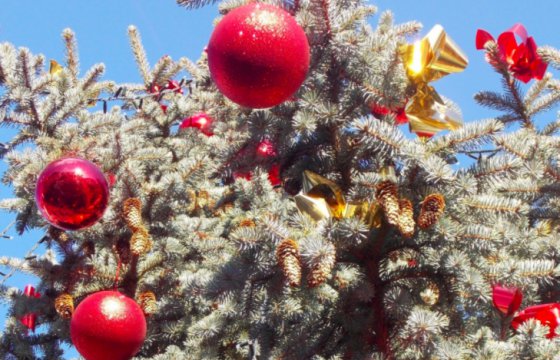 В Нарве объявили конкурс по поиску рождественской ели